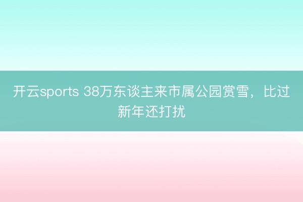 开云sports 38万东谈主来市属公园赏雪，比过新年还打扰