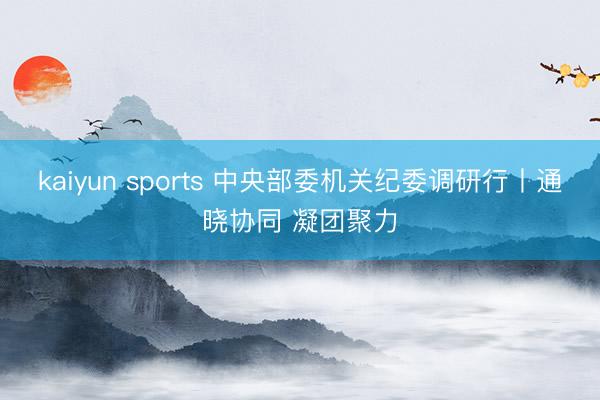 kaiyun sports 中央部委机关纪委调研行丨通晓协同 凝团聚力