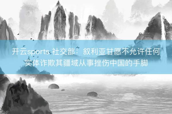 开云sports 社交部：叙利亚甘愿不允许任何实体诈欺其疆域从事挫伤中国的手脚