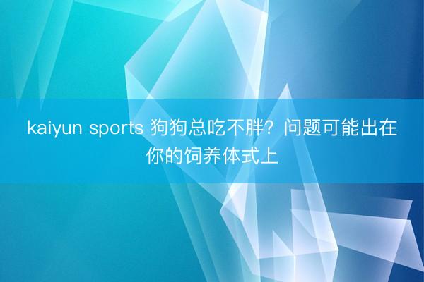 kaiyun sports 狗狗总吃不胖？问题可能出在你的饲养体式上