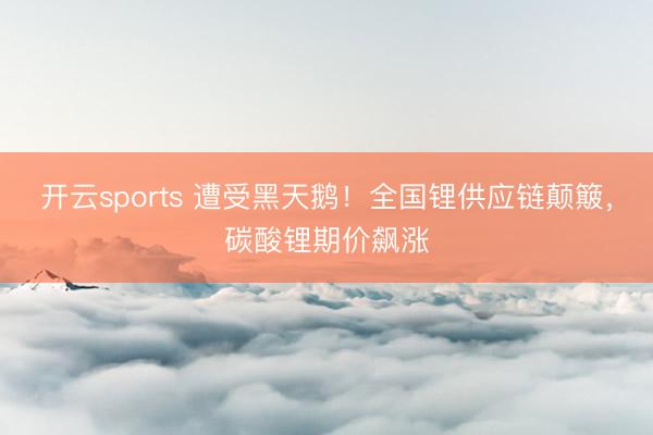 开云sports 遭受黑天鹅！全国锂供应链颠簸，碳酸锂期价飙涨
