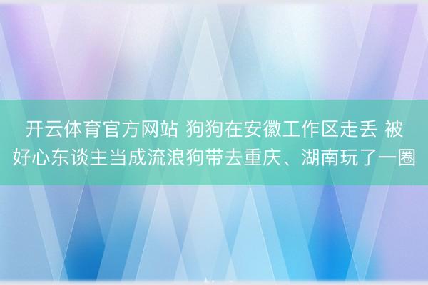 开云体育官方网站 狗狗在安徽工作区走丢 被好心东谈主当成流浪狗带去重庆、湖南玩了一圈