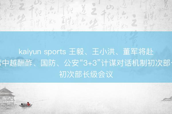 kaiyun sports 王毅、王小洪、董军将赴越南出席中越酬酢、国防、公安“3+3”计谋对话机制初次部长级会议