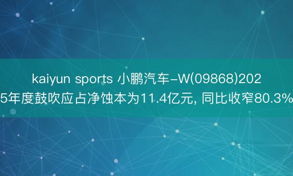 kaiyun sports 小鹏汽车-W(09868)2025年度鼓吹应占净蚀本为11.4亿元, 同比收窄80.3%