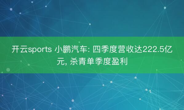 开云sports 小鹏汽车: 四季度营收达222.5亿元, 杀青单季度盈利