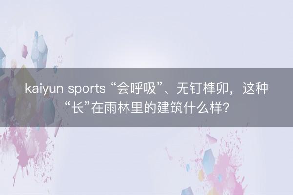 kaiyun sports “会呼吸”、无钉榫卯，这种“长”在雨林里的建筑什么样？