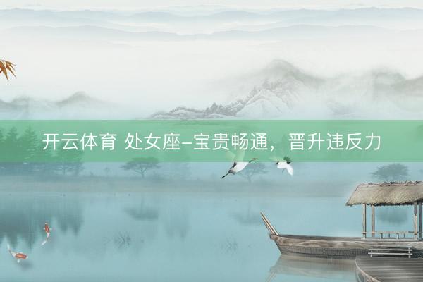 开云体育 处女座-宝贵畅通，晋升违反力