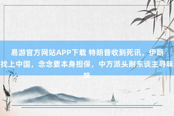 易游官方网站APP下载 特朗普收到死讯,伊朗找上中国,念念要本身担保,中方派头耐东谈主寻味