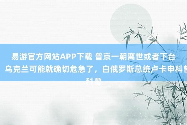 易游官方网站APP下载 普京一朝离世或者下台,乌克兰可能就确切危急了,白俄罗斯总统卢卡申科曾