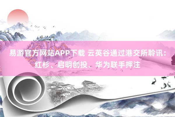 易游官方网站APP下载 云英谷通过港交所聆讯:红杉、启明创投、华为联手押注