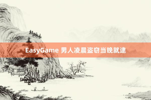EasyGame 男人凌晨盗窃当晚就逮
