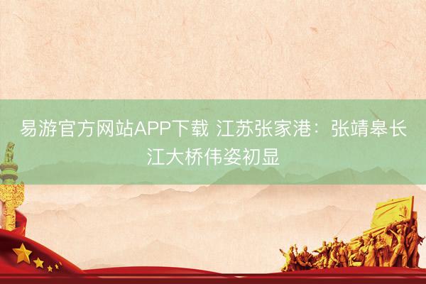 易游官方网站APP下载 江苏张家港：张靖皋长江大桥伟姿初显