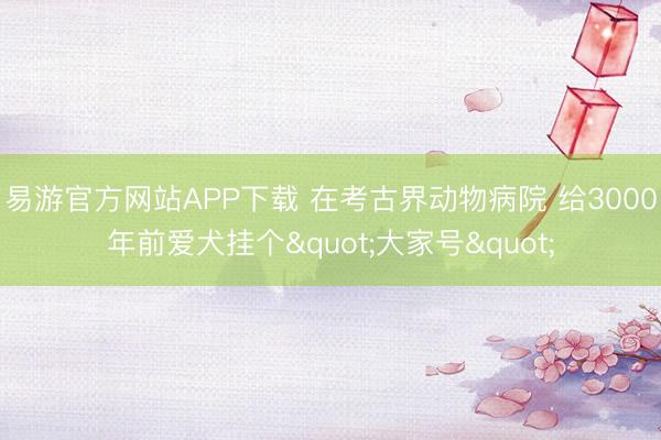 易游官方网站APP下载 在考古界动物病院 给3000年前爱犬挂个"大家号"