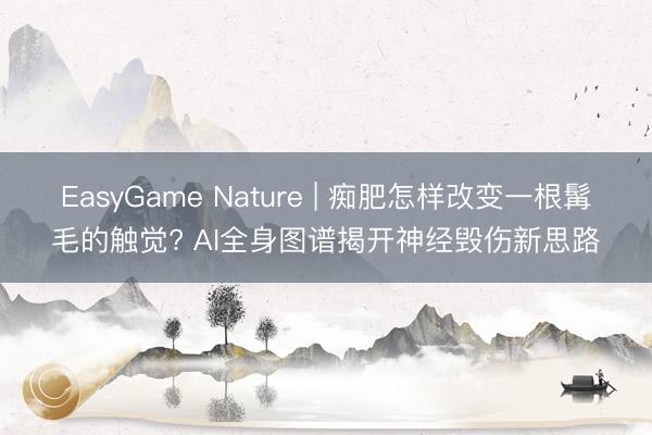 EasyGame Nature | 痴肥怎样改变一根髯毛的触觉? AI全身图谱揭开神经毁伤新思路