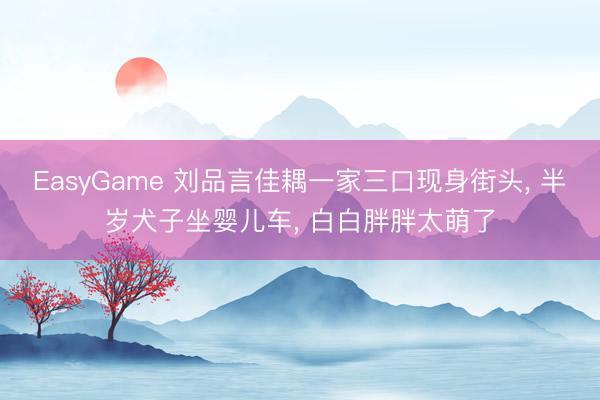EasyGame 刘品言佳耦一家三口现身街头， 半岁犬子坐婴儿车， 白白胖胖太萌了