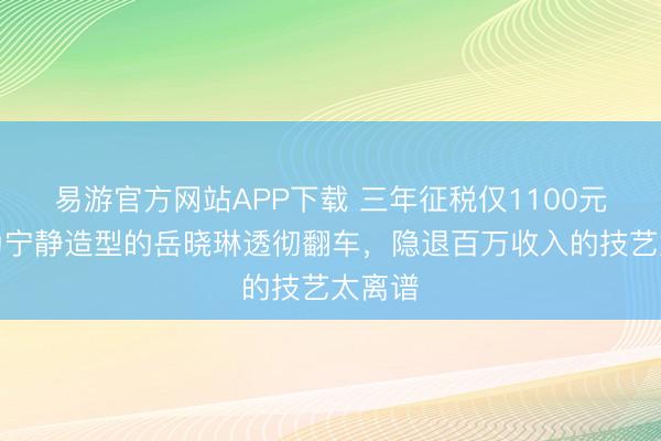 易游官方网站APP下载 三年征税仅1100元?曾为宁静造型的岳晓琳透彻翻车,隐退百万收入的技艺太离谱