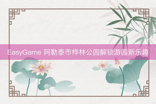 EasyGame 阿勒泰市桦林公园解锁游园新乐趣