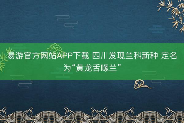 易游官方网站APP下载 四川发现兰科新种 定名为“黄龙舌喙兰”